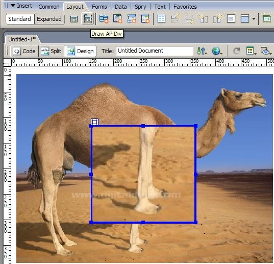 Dreamwever Yazılı sorusu