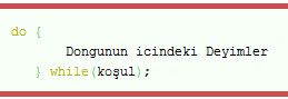 Do While, While, For D&ouml;ng&uuml;leri, For-break;