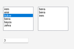 listBox Kullanımı