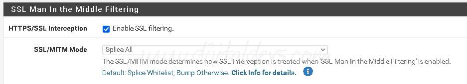 Squid Sorunları ve Çözümleri