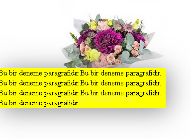 CSS ile Pozisyon ve Katman Uygulamaları